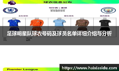 足球明星队球衣号码及球员名单详细介绍与分析